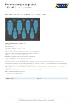 163-218l_datasheet_fr.pdf