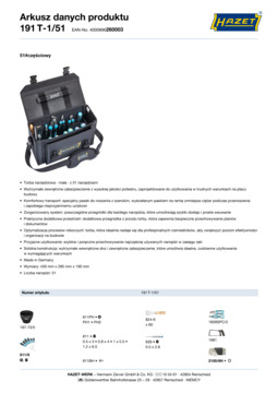 191t-1_51_datasheet_pl.pdf
