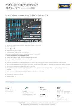 163-53_75n_datasheet_fr.pdf