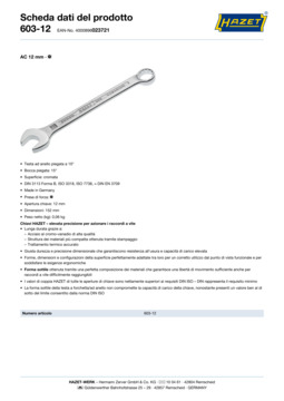 603-12_datasheet_it.pdf